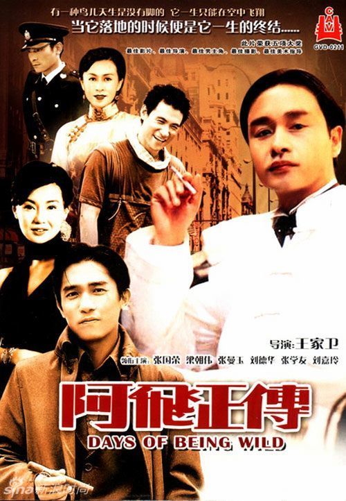 没有学位证书编号